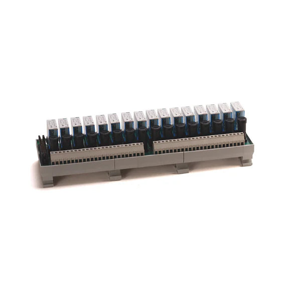 Allen-Bradley 1492-XIM4024-16RF relay master IFM, 40-pin, 16 fused 24V DC relays with LED indicators, compatible with various I/O platforms.
